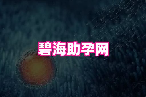 swisee孕网 1