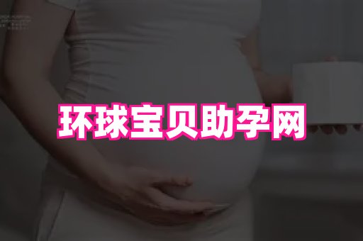 swisee孕网 4